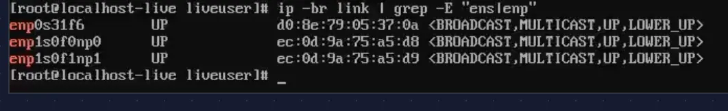 All three network interfaces UP — onboard Intel and both Mellanox ports