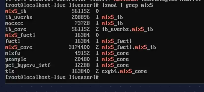 mlx5 kernel modules loaded
