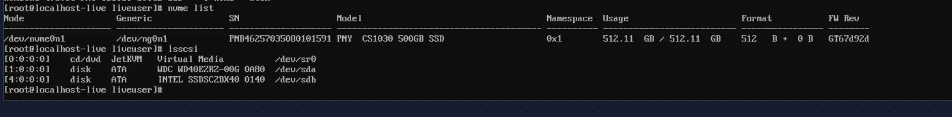 nvme list and lsscsi output confirming drive models and firmware